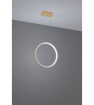 Pendant lamps circles - Thoro RIO 55 gold LED 4000K pendant lamp TH.221 - product 3