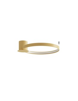 Thoro Plafond RIO 55 gold LED 3000K TH.222
