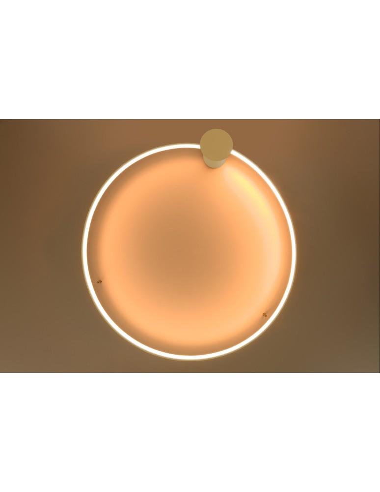 Ring ceiling lamps - Thoro Plafond RIO 55 gold LED 3000K TH.222 - product kolory-swiatla.pl 8