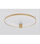 Ring ceiling lamps - Thoro Plafond RIO 78 gold LED 3000K TH.224 - product 4