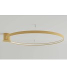 Ring ceiling lamps - Thoro Plafond RIO 110 gold LED 3000K TH.226 - product 2