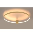 Ring ceiling lamps - Thoro Plafond RIO 110 gold LED 3000K TH.226 - product 5