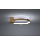 Ring ceiling lamps - Thoro Plafond RIO 55 gold LED 4000K TH.223 - product 3