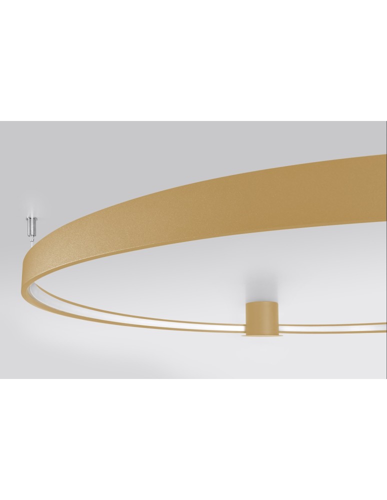 Ring ceiling lamps - Thoro Plafond RIO 55 gold LED 4000K TH.223 - product kolory-swiatla.pl 6