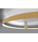 Ring ceiling lamps - Thoro Plafond RIO 55 gold LED 4000K TH.223 - product 7