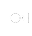 Ring ceiling lamps - Thoro Plafond RIO 55 gold LED 4000K TH.223 - product 10