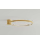 Ring ceiling lamps - Thoro Plafond RIO 78 gold LED 4000K TH.225 - product 2