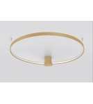Ring ceiling lamps - Thoro Plafond RIO 78 gold LED 4000K TH.225 - product 4