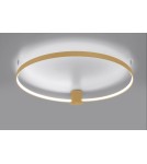Ring ceiling lamps - Thoro Plafond RIO 78 gold LED 4000K TH.225 - product 5