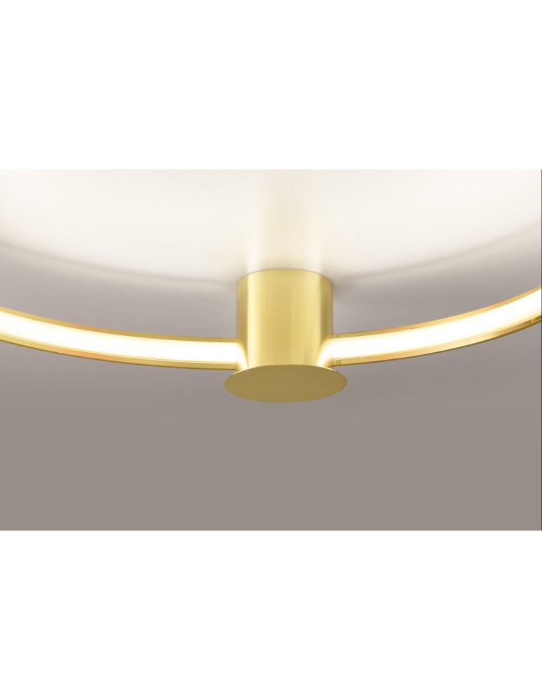 Ring ceiling lamps - Thoro Plafond RIO 78 glossy gold LED 3000K TH.252 - product kolory-swiatla.pl 7