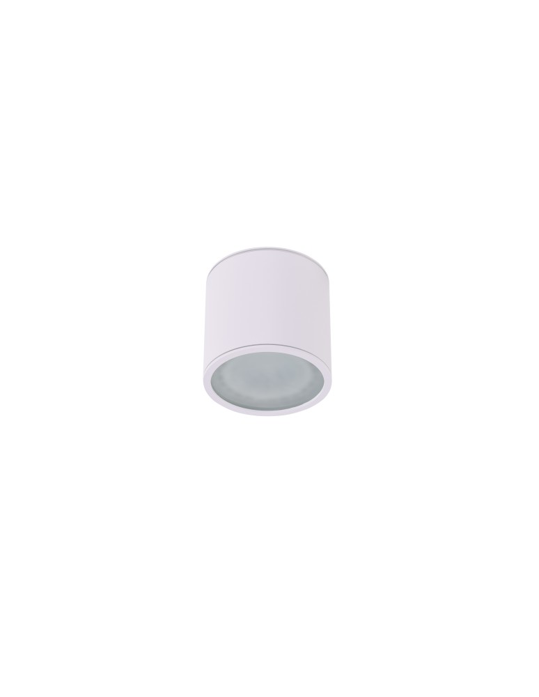 Outdoor ceiling lamps - Azzardo ALIX IP65 WH 1xES111 230V Surface Mounted White Hermetic IP65 AZ4055 - product kolory-swiatla.pl 1