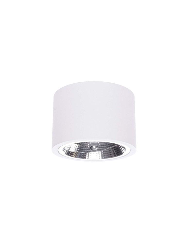 Ceiling luminaires for replaceable light source - Light Prestige Camino surface-mounted luminaire white LP-1101/1SM WH 1xQR111 white - product kolory-swiatla.pl 3