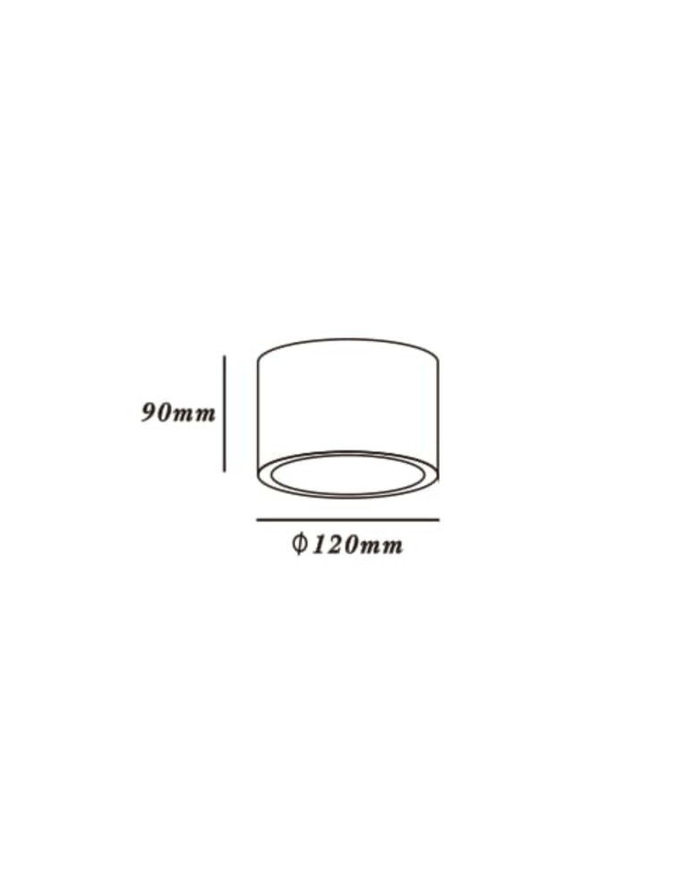 Ceiling luminaires for replaceable light source - Light Prestige Camino surface-mounted luminaire white LP-1101/1SM WH 1xQR111 white - product kolory-swiatla.pl 5