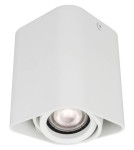 Ceiling luminaires for replaceable light source - Light Prestige Merano 1 surface-mounted GU10 white LP-2790/1SM WH - product 4