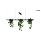 Pendant lamps over the island - MOOSEE PLANT LINE pendant lamp black (MSE1501100210) - product 1