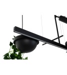 Pendant lamps over the island - MOOSEE PLANT LINE pendant lamp black (MSE1501100210) - product 2