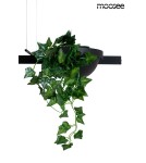 Pendant lamps over the island - MOOSEE PLANT LINE pendant lamp black (MSE1501100210) - product 3