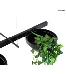 Pendant lamps over the island - MOOSEE PLANT LINE pendant lamp black (MSE1501100210) - product 4