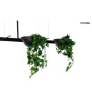 Pendant lamps over the island - MOOSEE PLANT LINE pendant lamp black (MSE1501100210) - product 8