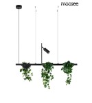 Pendant lamps over the island - MOOSEE PLANT LINE pendant lamp black (MSE1501100210) - product 11
