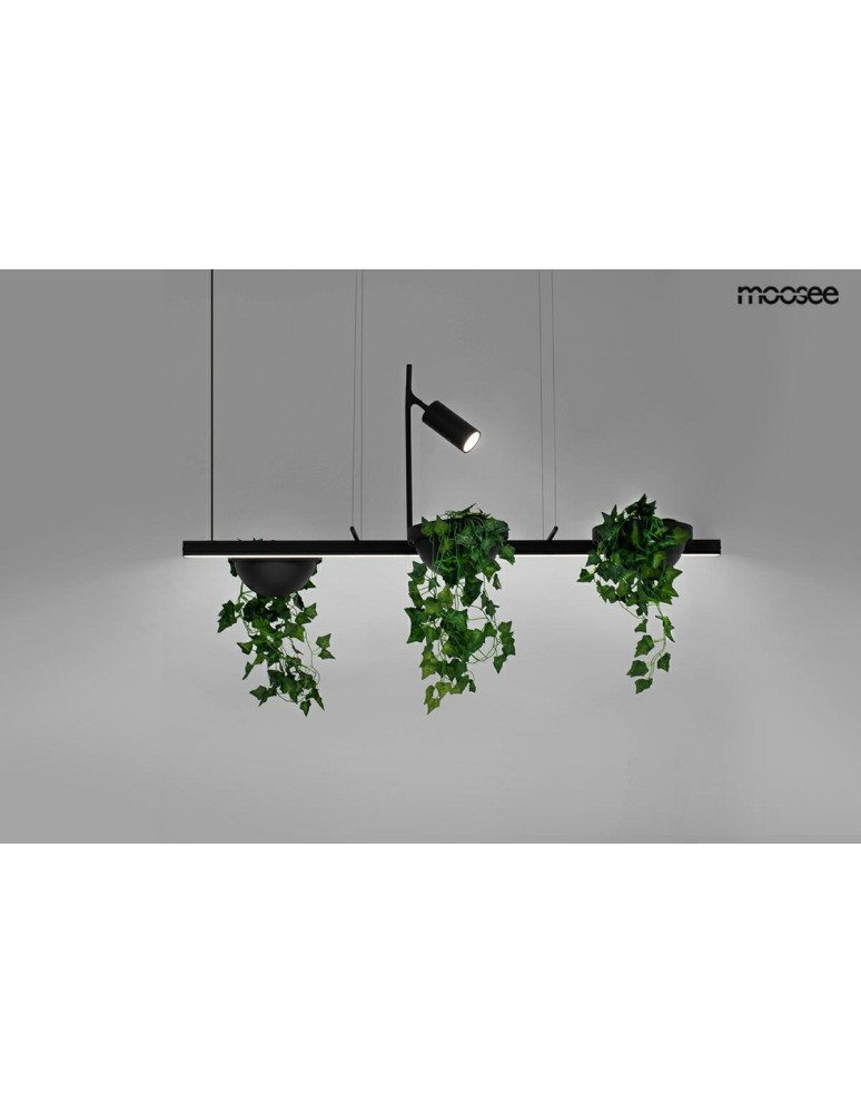 Pendant lamps over the island - MOOSEE PLANT LINE pendant lamp black (MSE1501100210) - product kolory-swiatla.pl 12