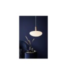 Scandinavian style pendant lamps - NORDLUX ALTON Pendant Lamp E27 60W Black/Brass 48973001 - product 4