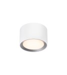 Hermetic ceiling luminaires - NORDLUX Bathroom lamp LANDON 1xLED Metal White 2110660101 - product 1