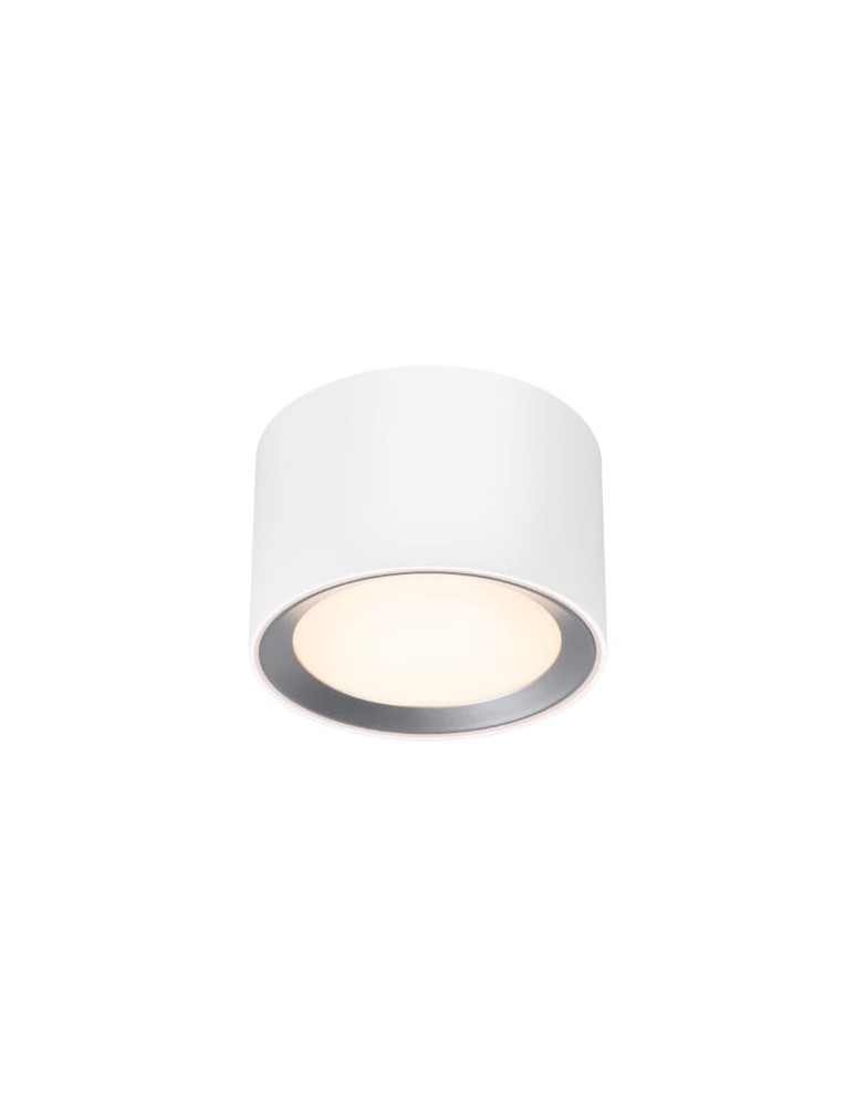 Hermetic ceiling luminaires - NORDLUX Bathroom lamp LANDON 1xLED Metal White 2110660101 - product kolory-swiatla.pl 1