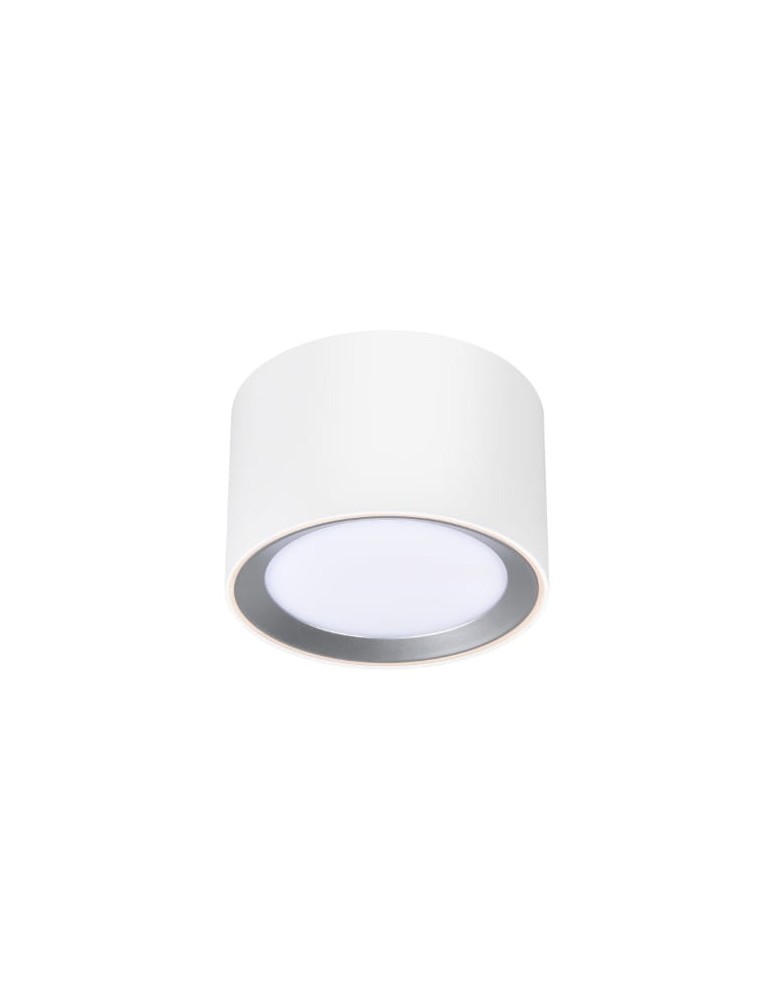 Hermetic ceiling luminaires - NORDLUX Bathroom lamp LANDON 1xLED Metal White 2110660101 - product kolory-swiatla.pl 2