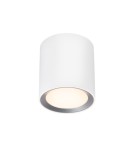 Hermetic ceiling luminaires - NORDLUX Bathroom lamp LANDON 1xLED Metal White 2110670101 - product 1
