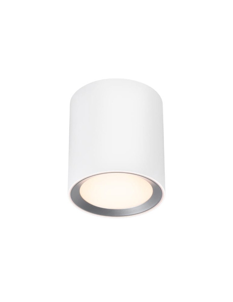 Hermetic ceiling luminaires - NORDLUX Bathroom lamp LANDON 1xLED Metal White 2110670101 - product kolory-swiatla.pl 1