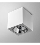 Ceiling lamps - Aqform BIG CUBE 111 surface-mounted 42211-0000-T8-PH - product 1