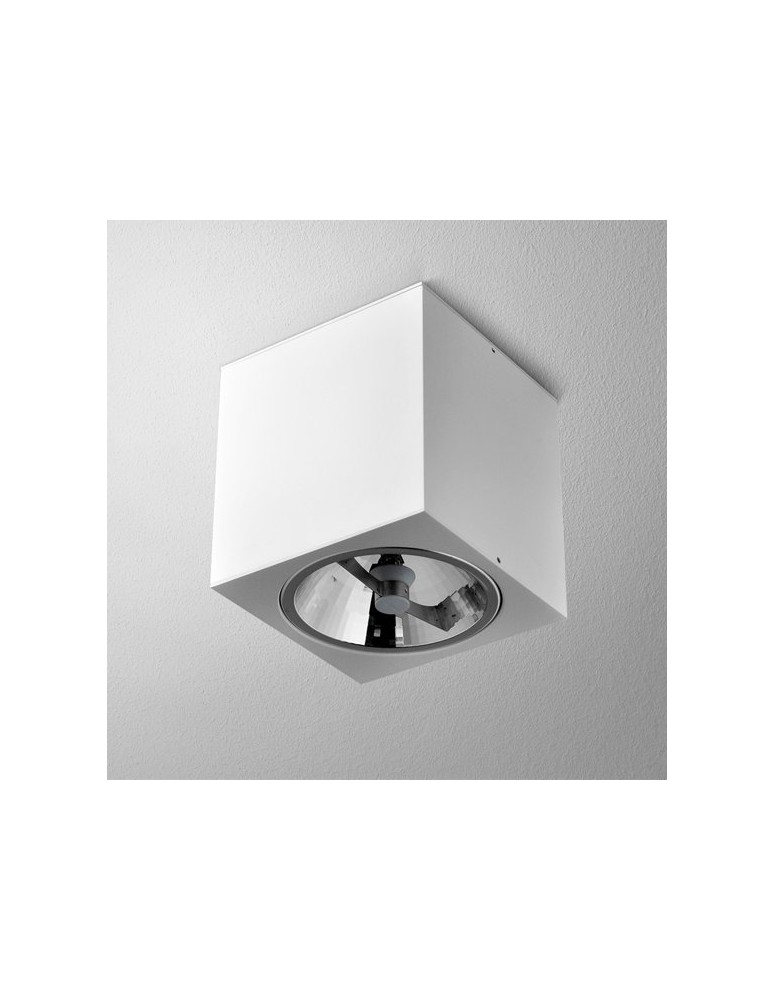Ceiling lamps - Aqform BIG CUBE 111 surface-mounted 42211-0000-T8-PH - product kolory-swiatla.pl 1
