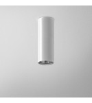 Ceiling lamps - Aqform PET surface-mounted 17cm 46311-0000-U8-PH - product 1