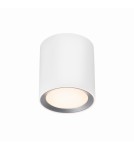 SMART interior lamps - NORDLUX LandonSmar 1xLED Metal White ceiling lamp 2110850101 - product 2