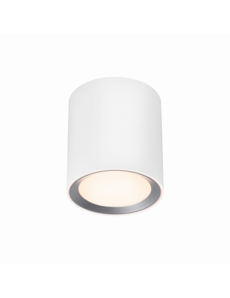 SMART interior lamps - NORDLUX LandonSmar 1xLED Metal White ceiling lamp 2110850101 - product kolory-swiatla.pl 2