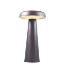Scandinavian style table lamps - DFTP by NORDLUX ARCELLO 1xLED Metal Anthracite table lamp - product 1