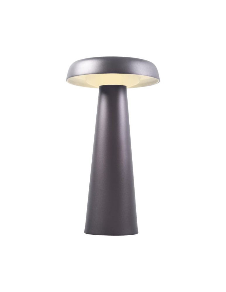 Scandinavian style table lamps - DFTP by NORDLUX ARCELLO 1xLED Metal Anthracite table lamp - product kolory-swiatla.pl 1