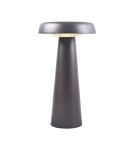 Scandinavian style table lamps - DFTP by NORDLUX ARCELLO 1xLED Metal Anthracite table lamp - product 3