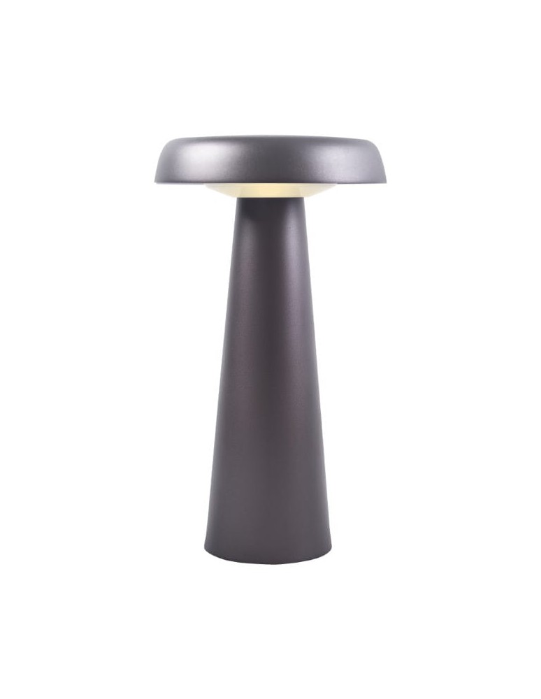 Scandinavian style table lamps - DFTP by NORDLUX ARCELLO 1xLED Metal Anthracite table lamp - product kolory-swiatla.pl 3