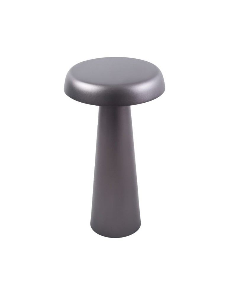 Scandinavian style table lamps - DFTP by NORDLUX ARCELLO 1xLED Metal Anthracite table lamp - product kolory-swiatla.pl 4