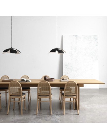 DFTP by NORDLUX Lampa wisząca Maple 1xE27 40W Metal Czarny - produkt 2