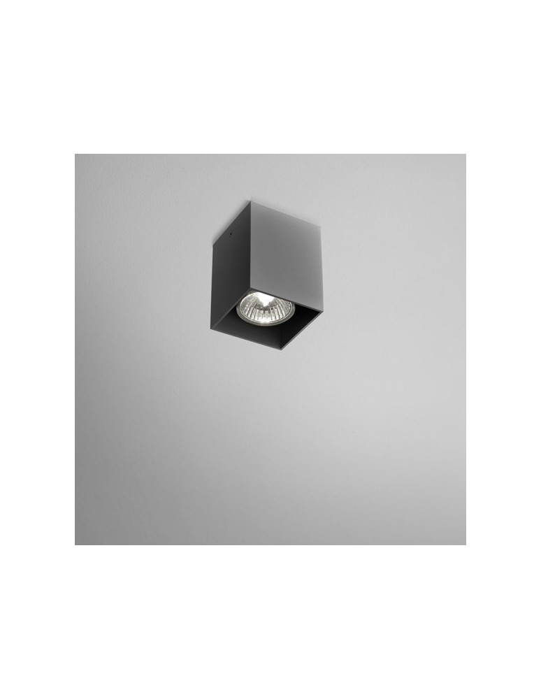 Ceiling luminaires for replaceable light source - Aqform QUPET surface-mounted 9cm 42411-0000-U8-PH - product kolory-swiatla.pl 2