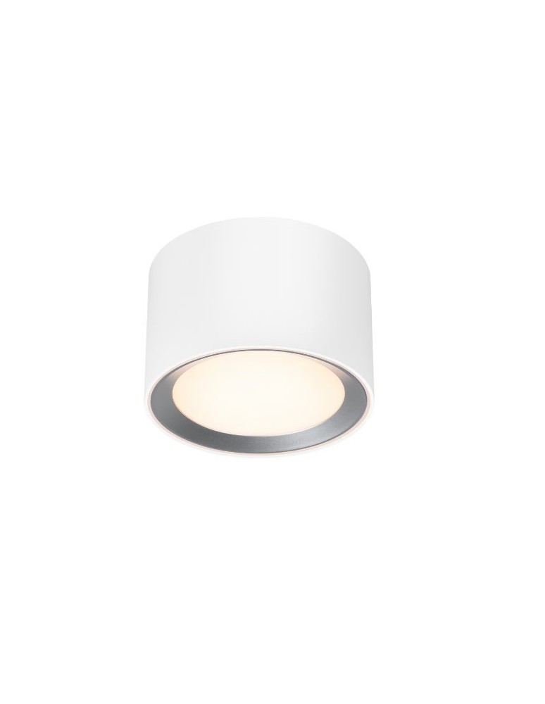 Bathroom ceiling lamps - NORDLUX Landon Smart 1xLED Metal White ceiling lamp 2110840101 - product kolory-swiatla.pl 2