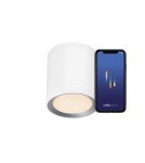 SMART interior lamps - NORDLUX LandonSmar 1xLED Metal White ceiling lamp 2110850101 - product 1