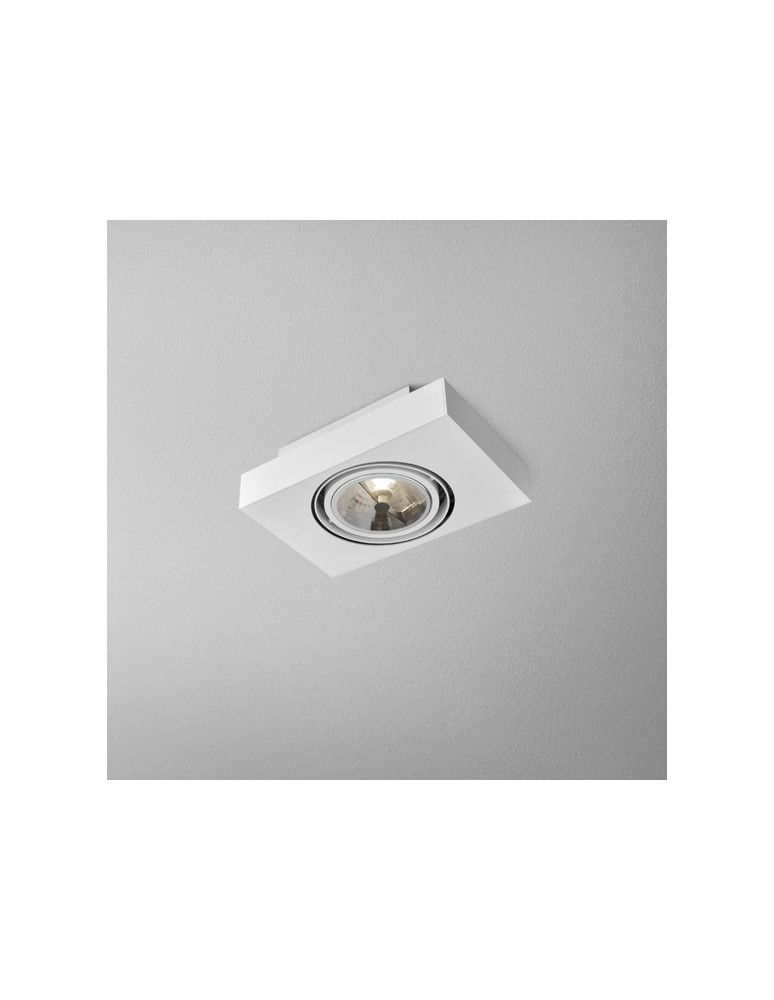 Ceiling lamps - Aqform SLEEK distance 111x1 surface-mounted 46612-0000-T8-PH - product kolory-swiatla.pl 1
