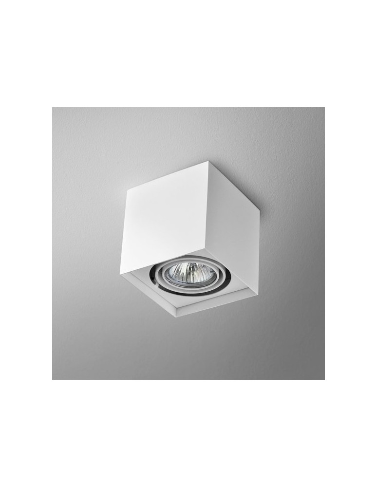 Ceiling lamps - Aqform SQUARES 50x1 230V surface-mounted 45811-0000-U8-PH - product kolory-swiatla.pl 1