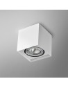 Aqform SQUARES 50x1 230V surface-mounted 45811-0000-U8-PH