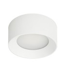 Bathroom ceiling lamps - Italux Sirius Surface-mounted White IP44 1xLED 28W 3000K+4000K WG-608C/WK-WW/MULTI - product 1