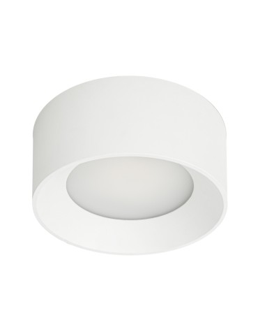 Italux Sirius Surface-mounted White IP44 1xLED 28W 3000K+4000K WG-608C/WK-WW/MULTI